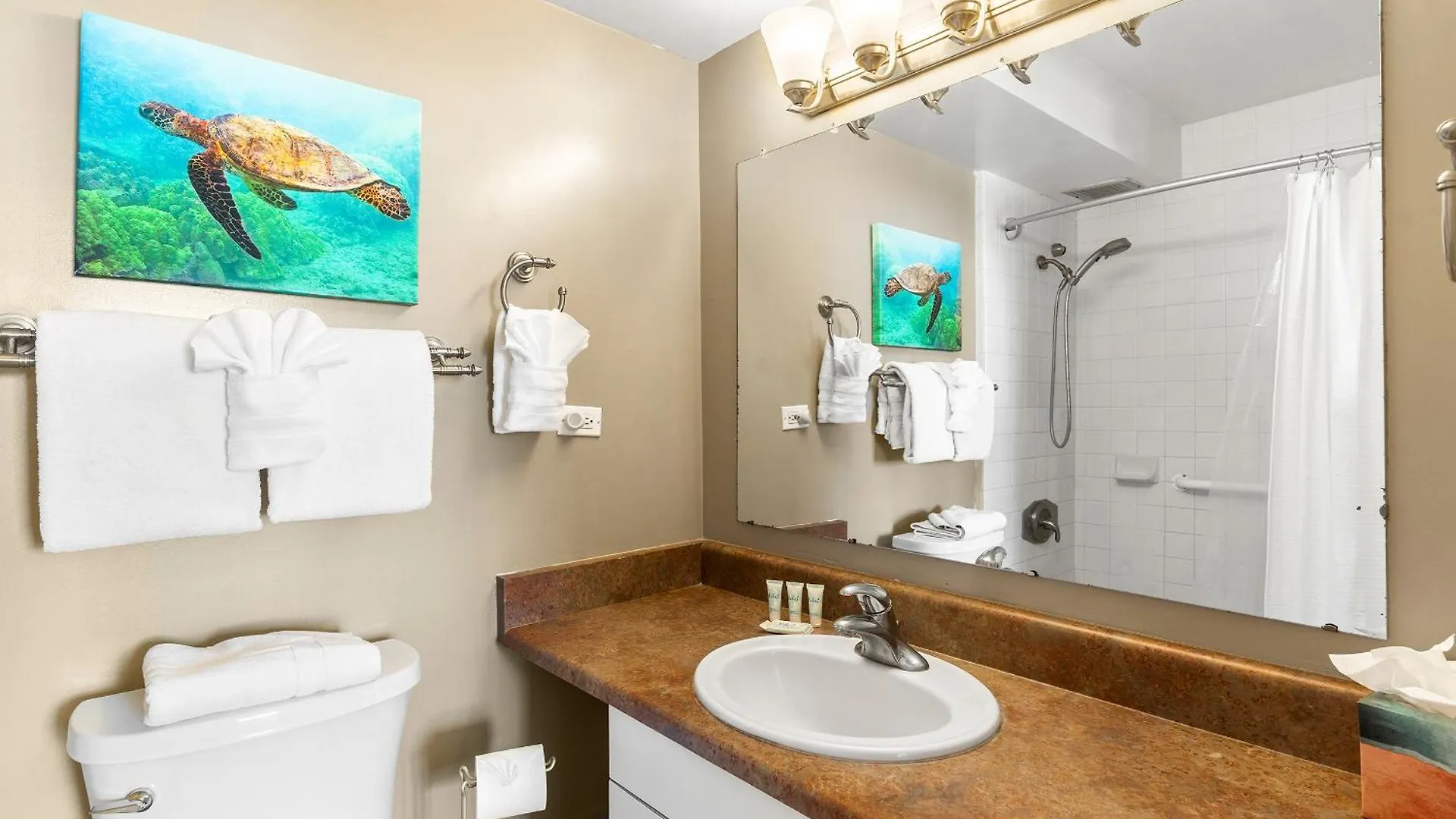 Mana Kai 314 - Experience Stunning Coastal Views On Keawakapu Beach, Split Ac Wailea  0*, Wailea (Maui)