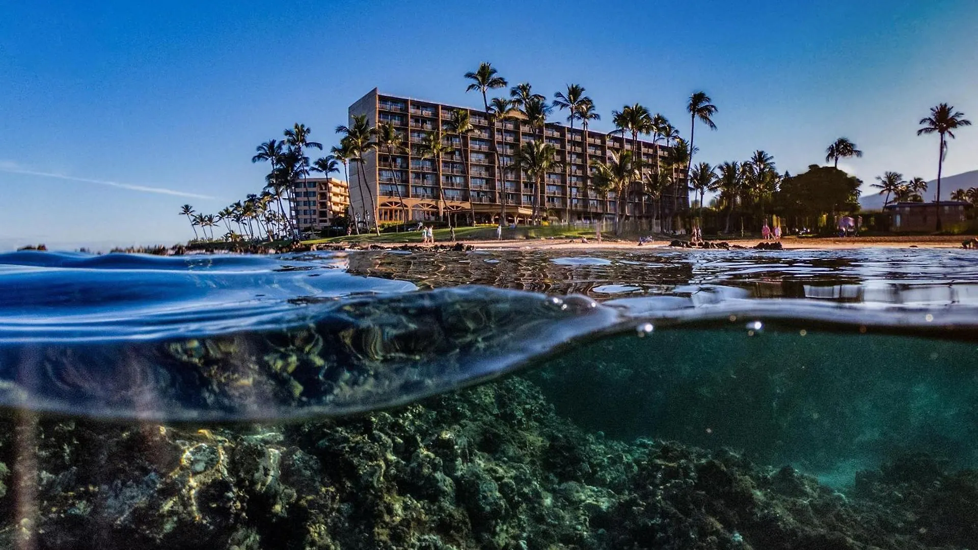 Mana Kai 314 - Experience Stunning Coastal Views On Keawakapu Beach, Split Ac Wailea  Wailea (Maui)